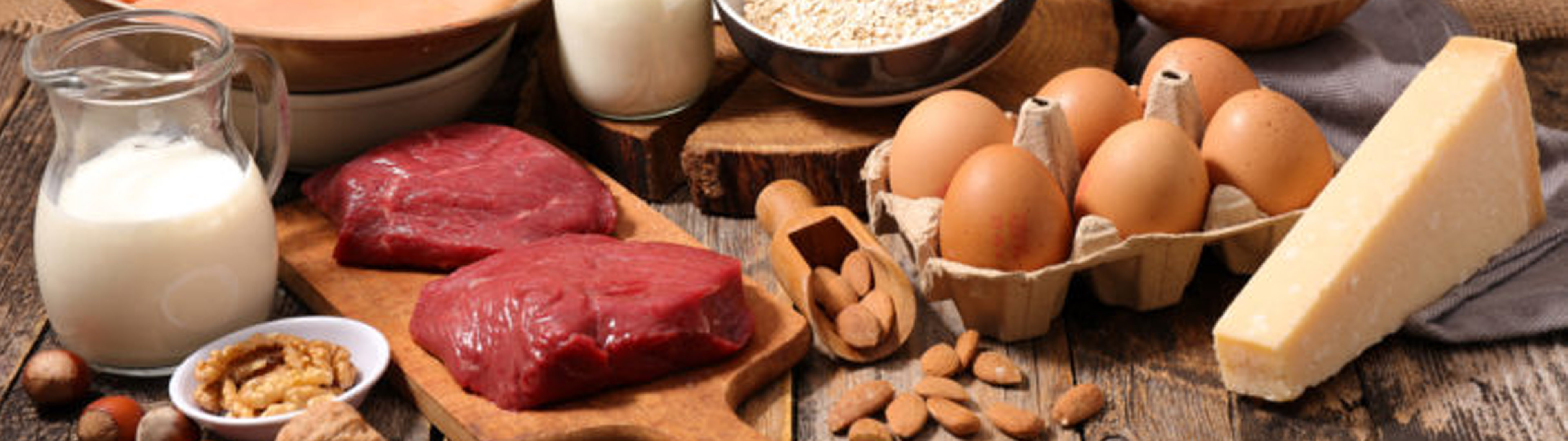 Proteina Que Reforça Ossos E Musculos - BRAINCP