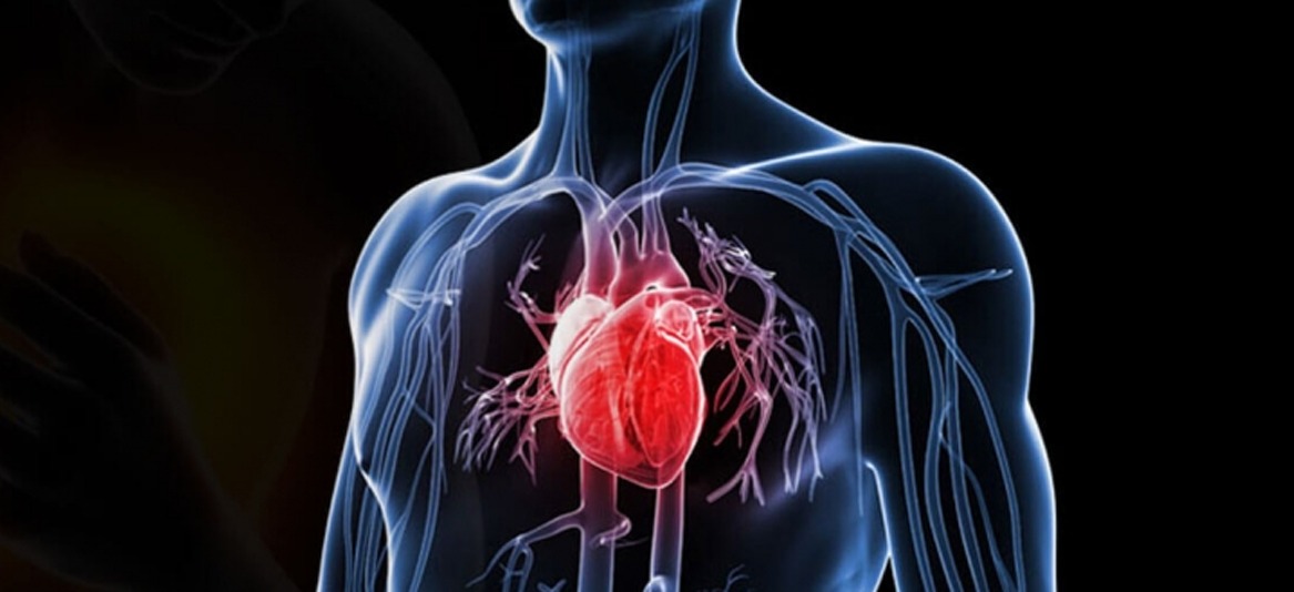 Saúde cardiovascular